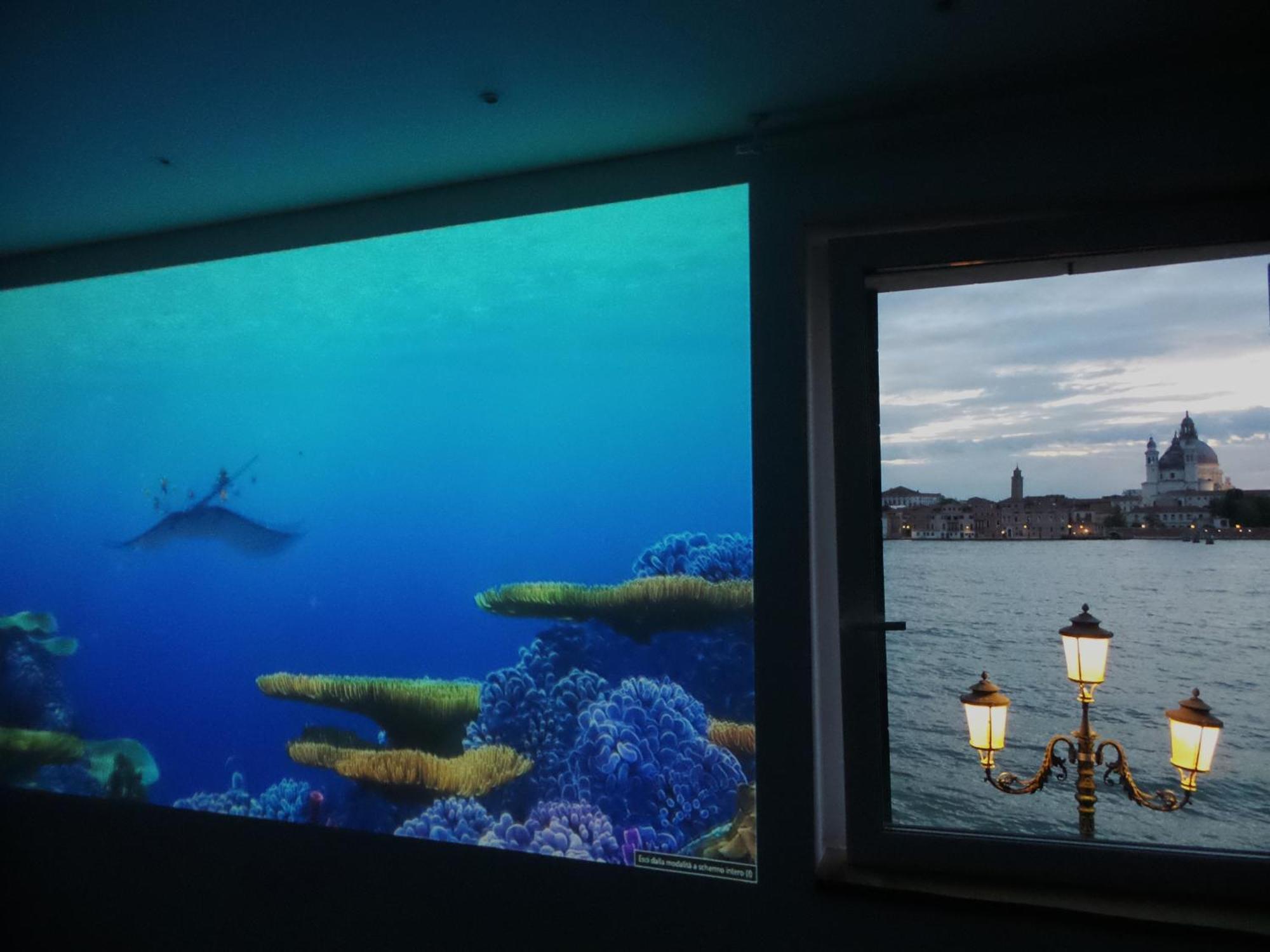 3 Windows On St Mark - Waterfront Apartment Βενετία Εξωτερικό φωτογραφία