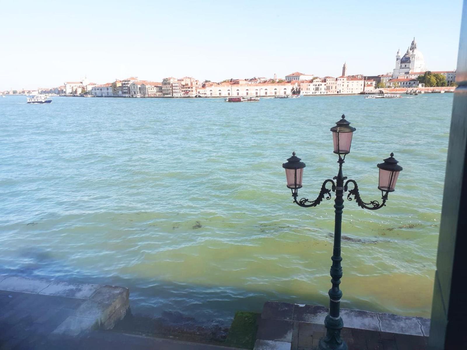 3 Windows On St Mark - Waterfront Apartment Βενετία Εξωτερικό φωτογραφία